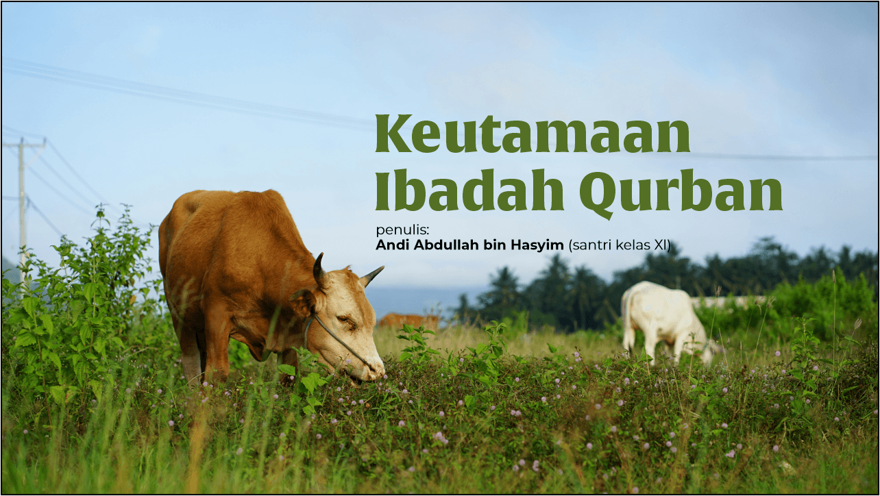 Keutamaan Ibadah Qurban